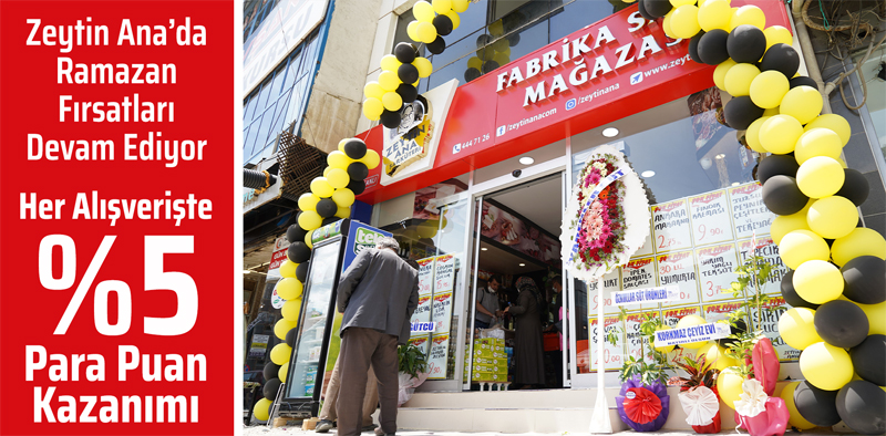 zeytin ana