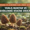 Tavşanlı ve çevresinde kuzu göbeği mantarı sezonu ile yanlış mantar ve zehirlenme riskine dikkat çeken görsel