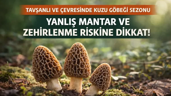 Tavşanlı ve çevresinde kuzu göbeği mantarı sezonu ile yanlış mantar ve zehirlenme riskine dikkat çeken görsel